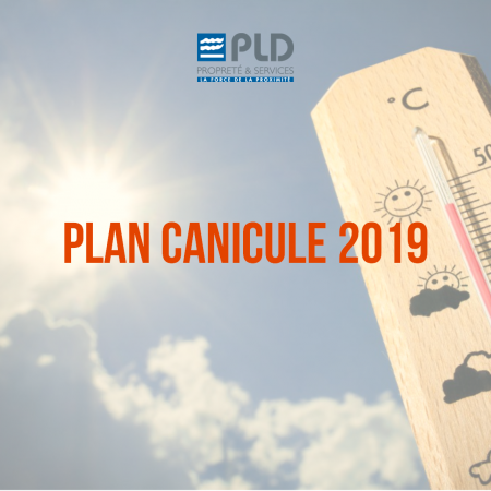 Canicule 2019