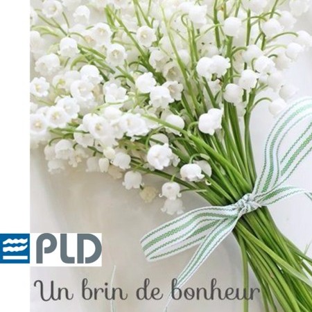 Joyeux mois de mai !